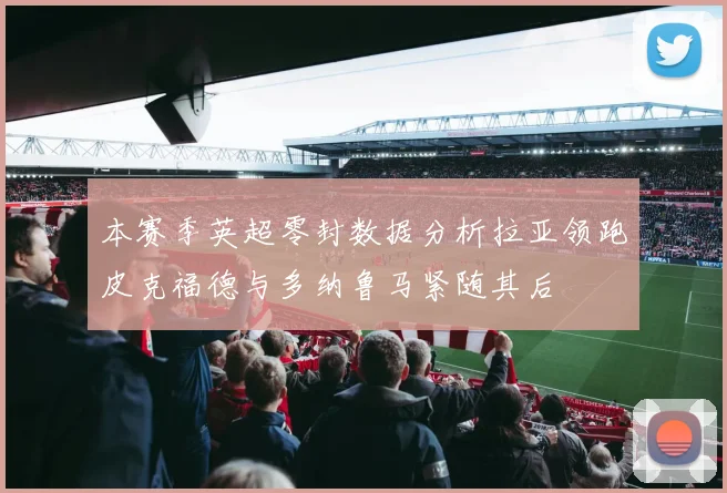 本赛季英超零封数据分析拉亚领跑皮克福德与多纳鲁马紧随其后