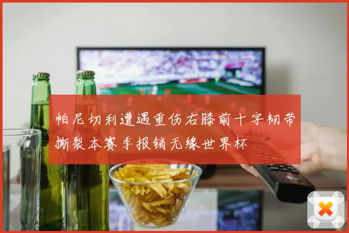 帕尼切利遭遇重伤右膝前十字韧带撕裂本赛季报销无缘世界杯